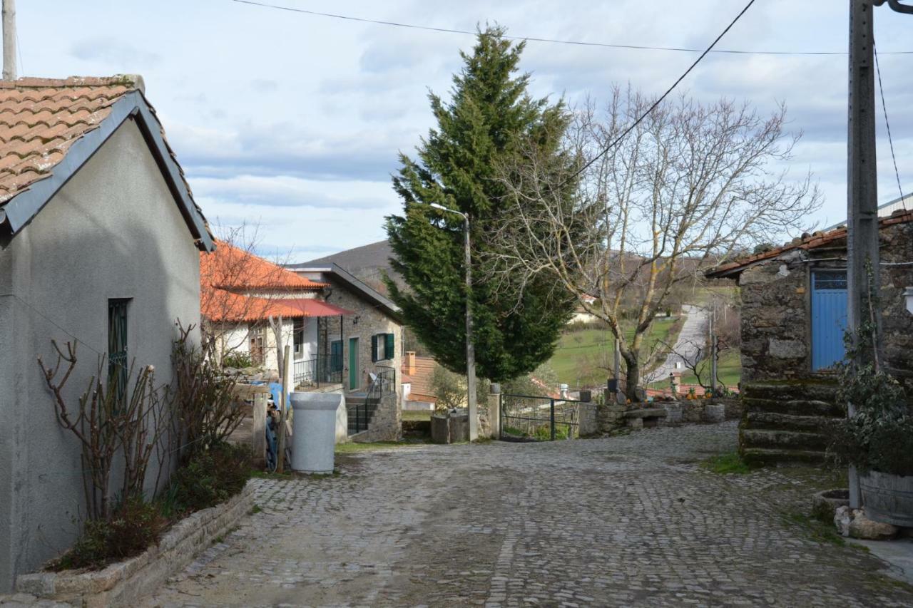 Вилла Casa Freixedelo Santa Comba de Rossas Экстерьер фото