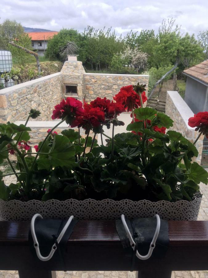 Вилла Casa Freixedelo Santa Comba de Rossas Экстерьер фото